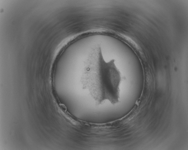 X0000077281327200611101308