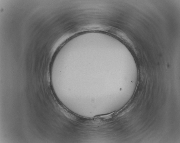 X0000077281328200611101308