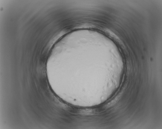 X0000077281329200611101308