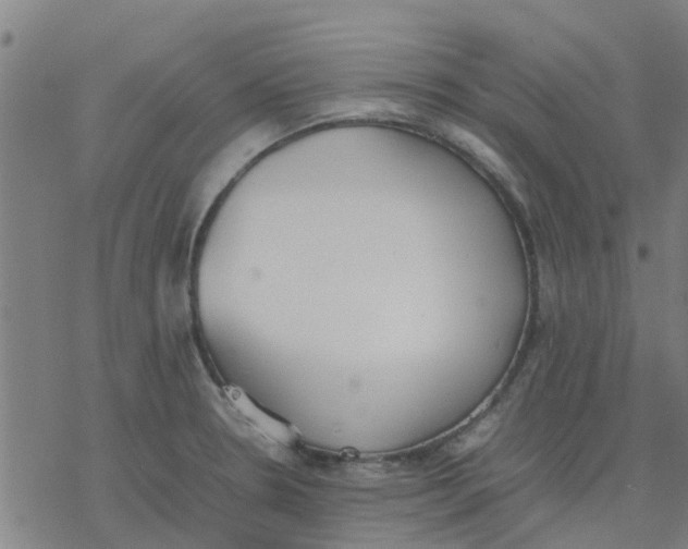 X0000077281330200611101308