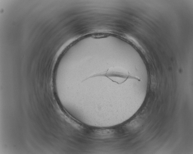 X0000077281331200611101308