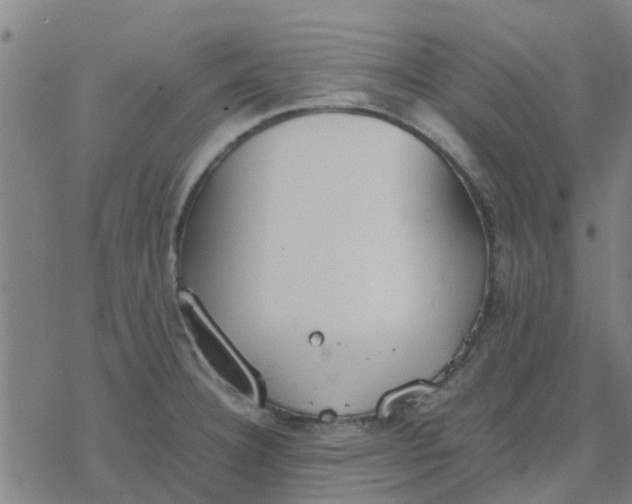 X0000077281332200611101308