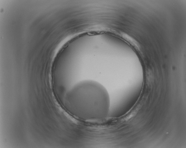 X0000077281334200611101308