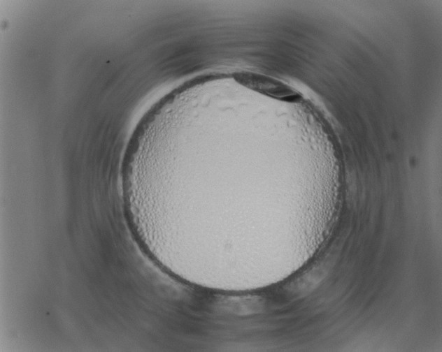 X0000077281335200611101308