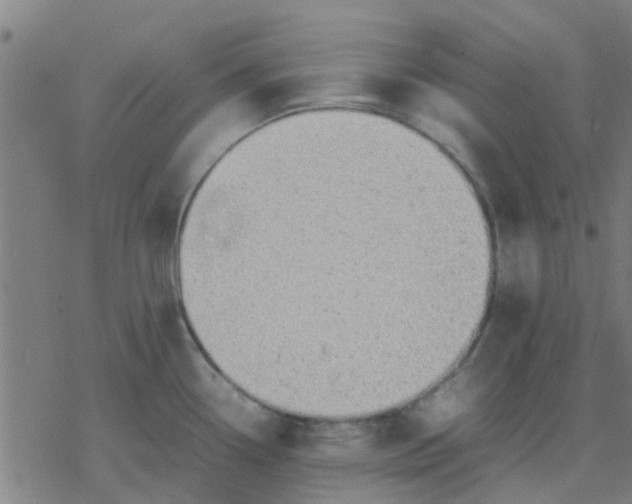 X0000077281338200611101308