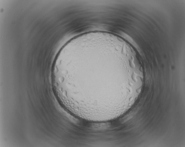 X0000077281339200611101308