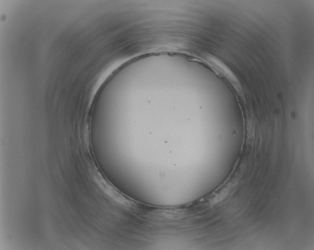 X0000077281340200611101308