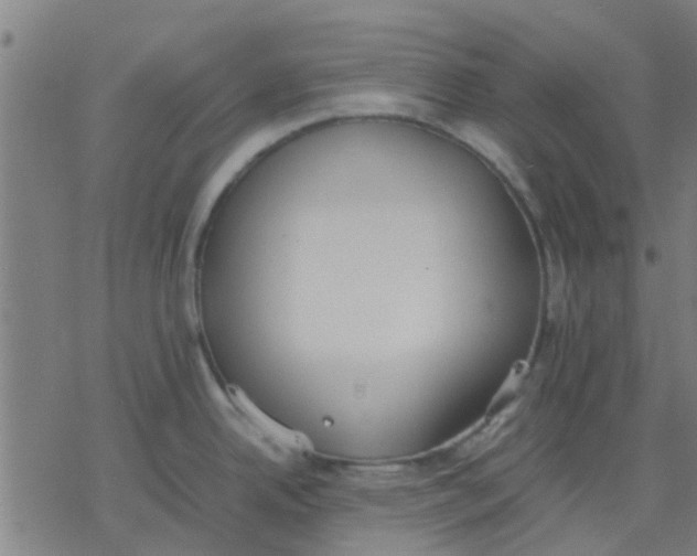 X0000077281342200611101308