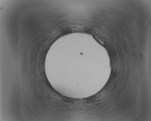 X0000077281345200611101307