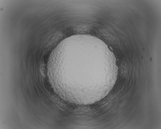 X0000077281346200611101307