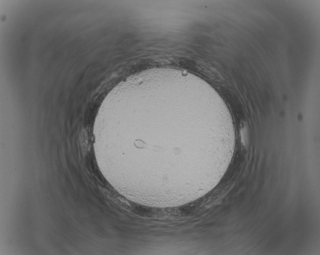 X0000077281347200611101307