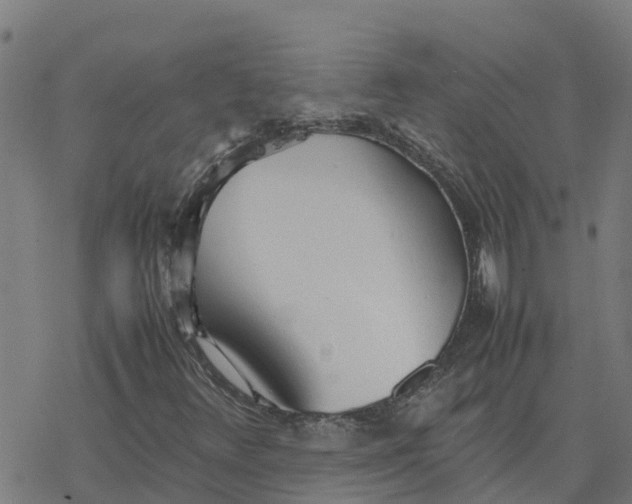 X0000077281348200611101307