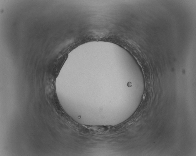 X0000077281349200611101307