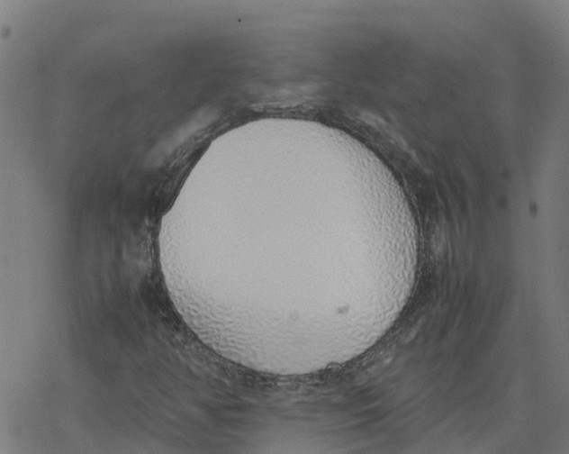 X0000077281350200611101307