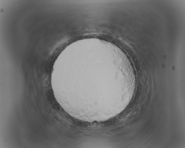 X0000077281351200611101307