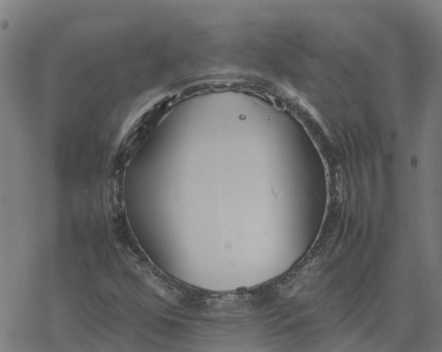 X0000077281352200611101307