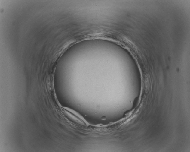 X0000077281353200611101307