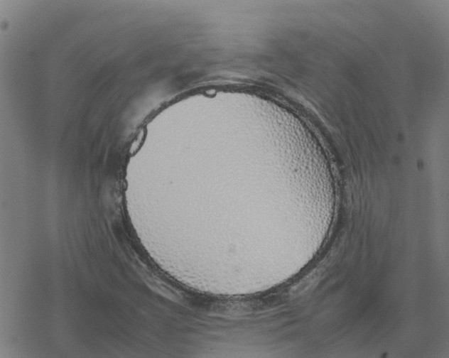 X0000077281355200611101307