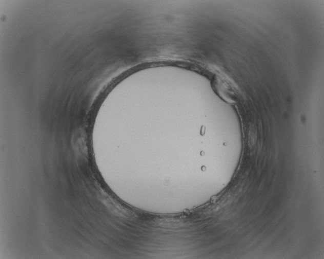 X0000077281356200611101307