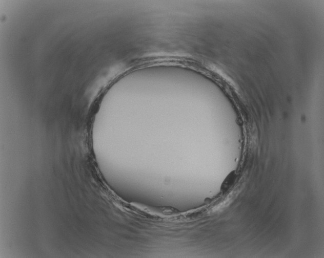 X0000077281357200611101307