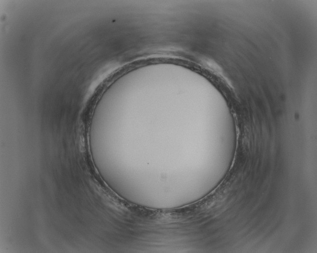 X0000077281360200611101307