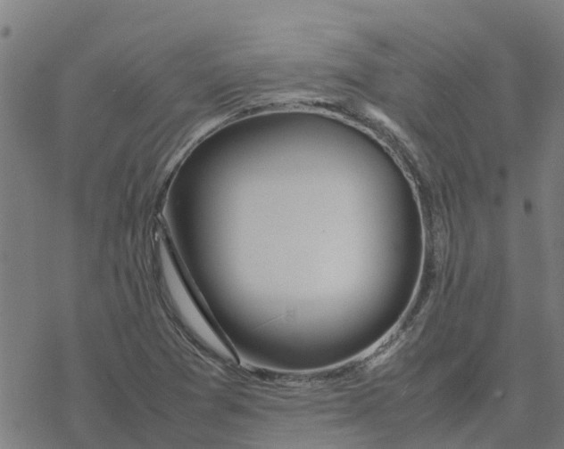 X0000077281361200611101307