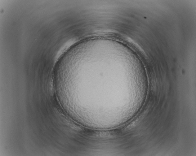 X0000077281362200611101307