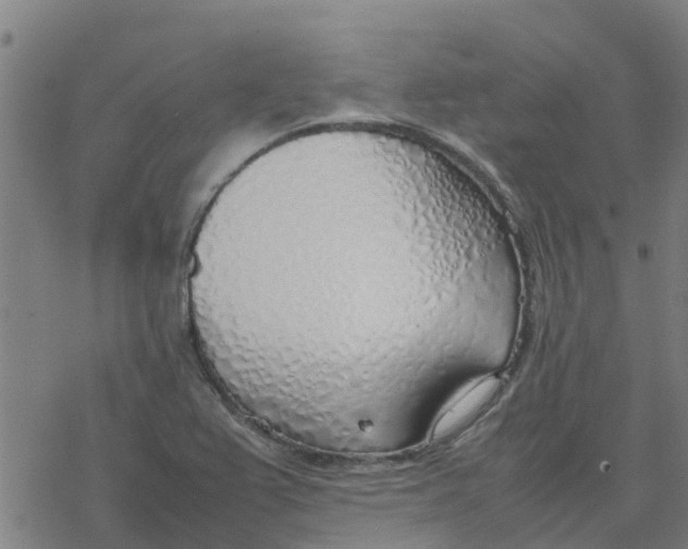 X0000077281367200611101307