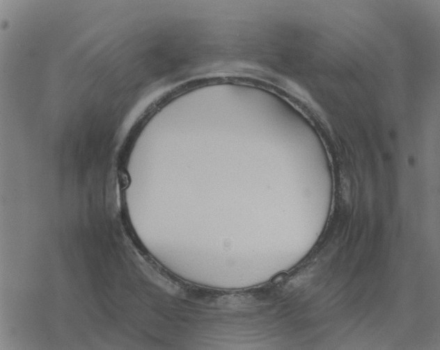 X0000077281368200611101307