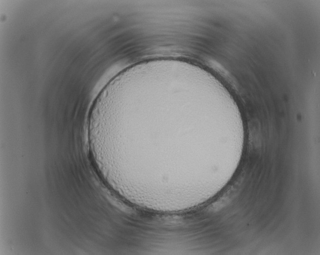 X0000077281370200611101307