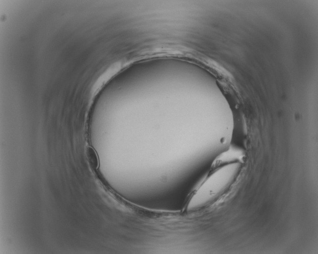 X0000077281373200611101307