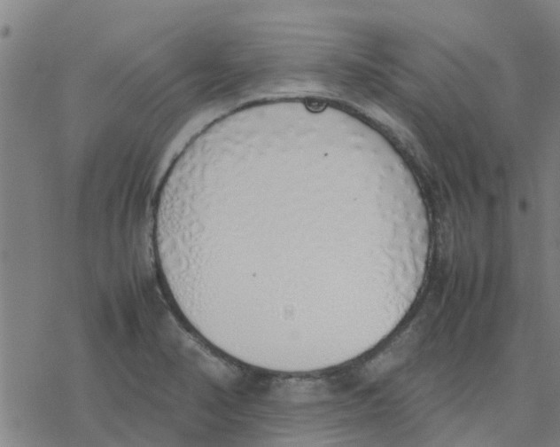 X0000077281374200611101307