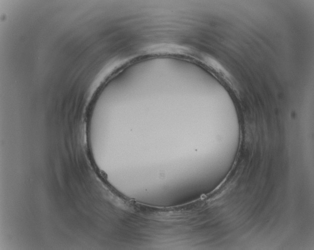 X0000077281376200611101307