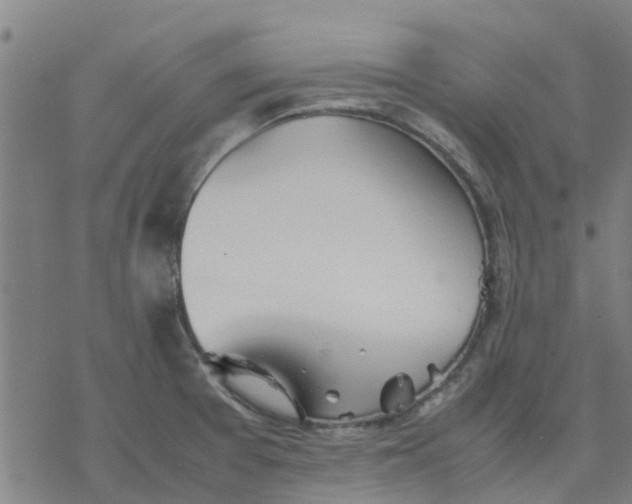 X0000077281377200611101307