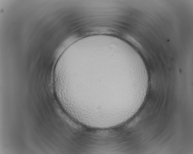 X0000077281378200611101307