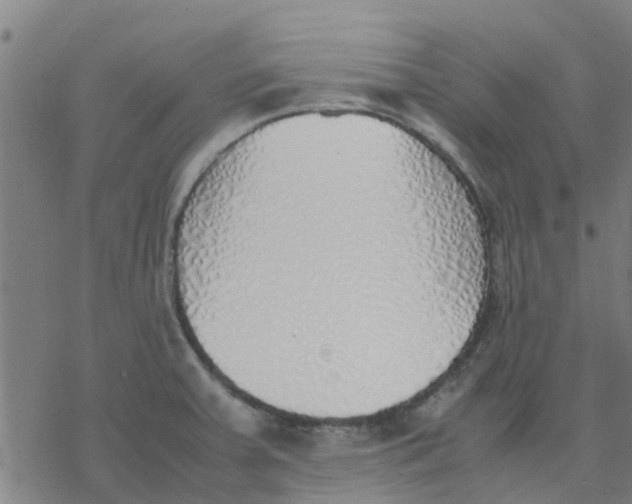 X0000077281379200611101307