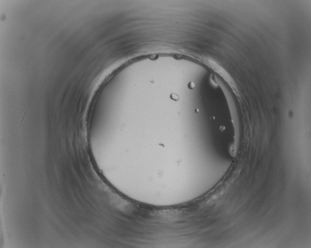 X0000077281380200611101307