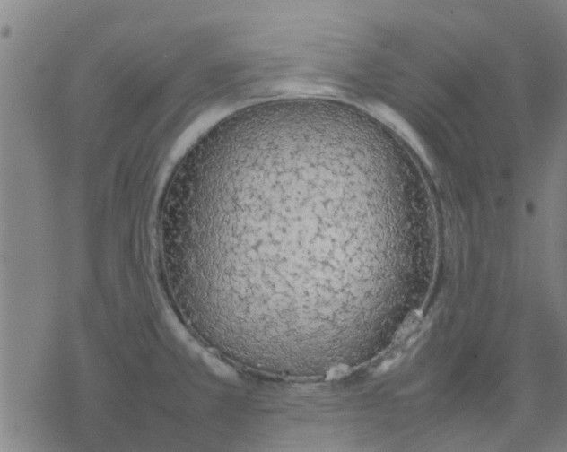 X0000077281381200611101307