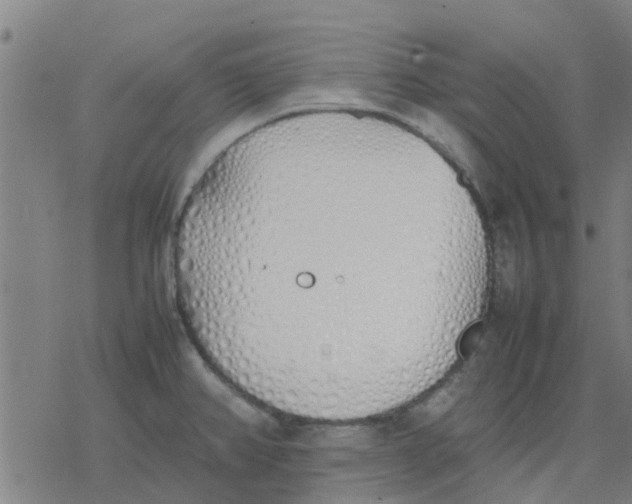 X0000077281382200611101307