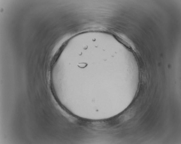 X0000077281383200611101307