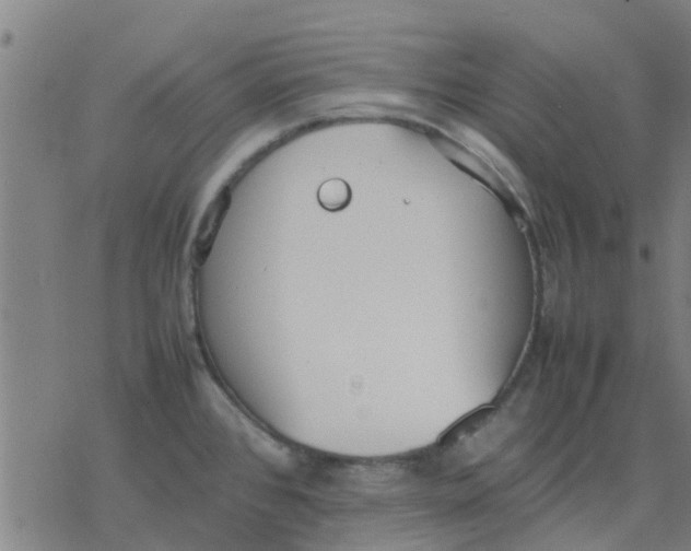 X0000077281384200611101307