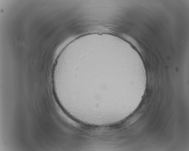 X0000077281387200611101307