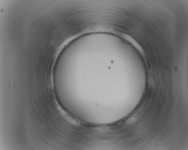 X0000077281388200611101307