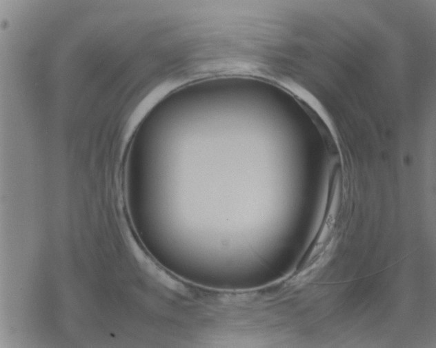 X0000077281389200611101307