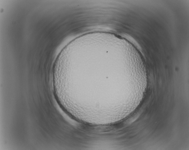 X0000077281391200611101307