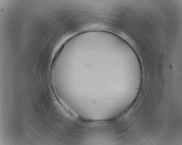 X0000077281392200611101307