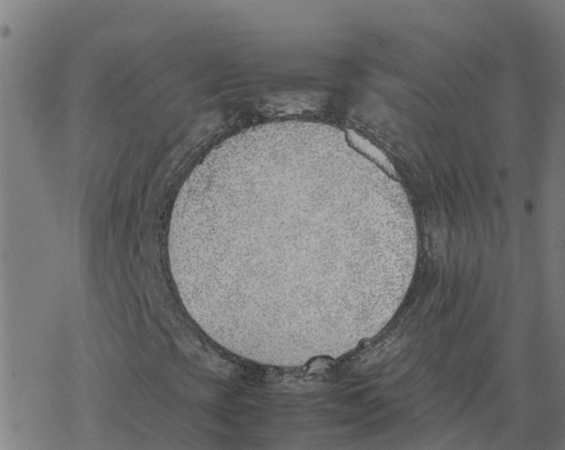 X0000077281393200611101306