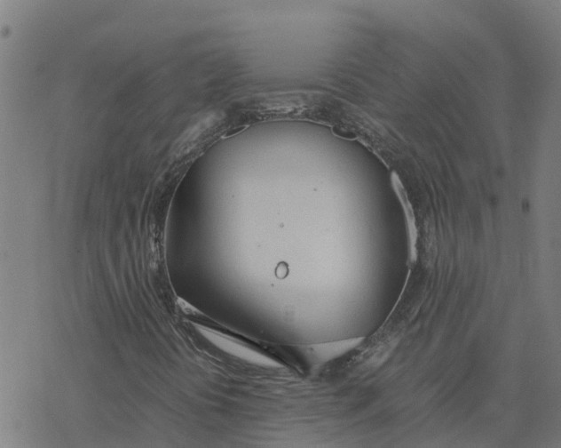 X0000077281394200611101306