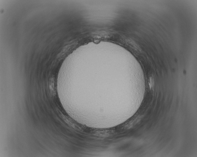 X0000077281396200611101306