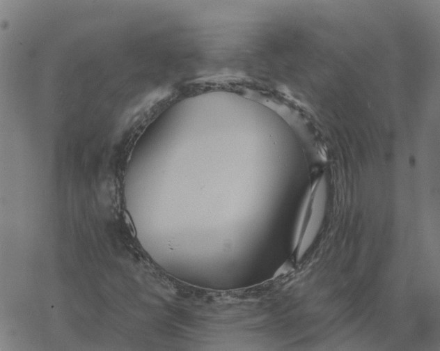 X0000077281398200611101306